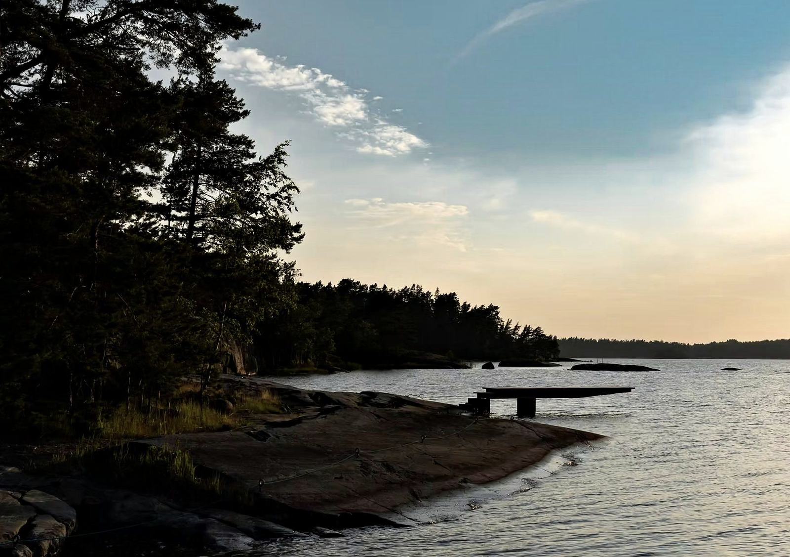 Old pines and smooth granite meeting the sea in golden evening light